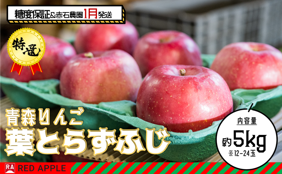 りんご 【 1月発送 】 13度糖度保証 贈答用 葉とらず ふじ 約 5kg 【 弘前市産 青森りんご  果物類 林檎 リンゴ  】