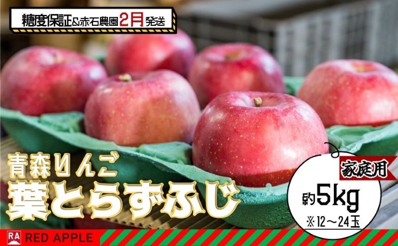 りんご 【 2月発送 】 13度糖度保証 家庭用 葉とらず ふじ 約 5kg 【 弘前市産 青森りんご  果物類 林檎 リンゴ  】