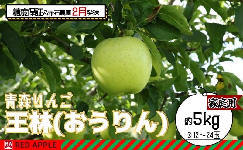 りんご 【 2月発送 】 13度糖度保証 家庭用 王林 約 5kg 【 弘前市産 青森りんご  果物類 林檎 リンゴ  】