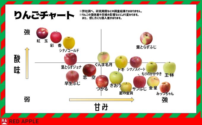 【12月発送】13度糖度保証 家庭用 王林 約10kg【弘前市産・青森りんご】