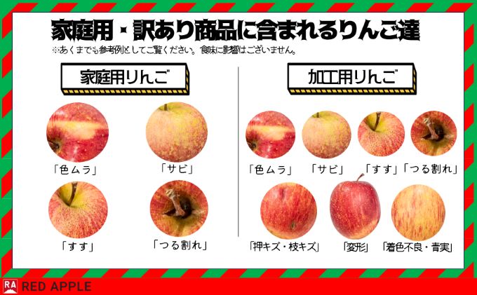 【12月発送】13度糖度保証 家庭用 王林 約10kg【弘前市産・青森りんご】