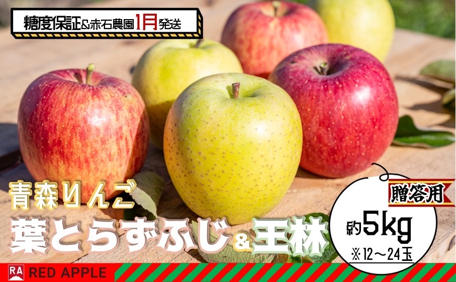 りんご 【 1月発送 】 13度糖度保証 贈答用 葉とらず ふじ ＆ 王林 約 5kg 【 弘前市産 青森りんご  果物類 林檎 リンゴ  】