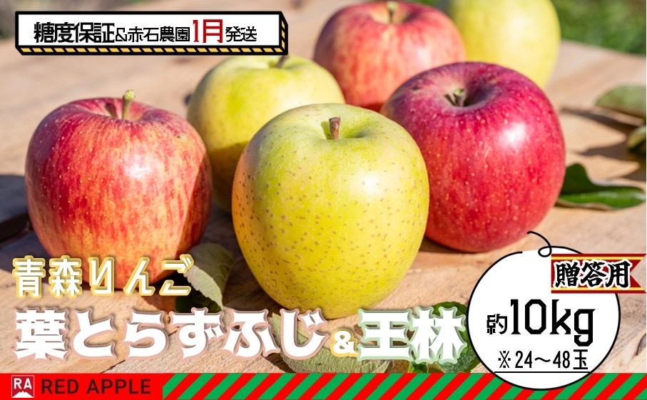 りんご 【 1月発送 】 13度糖度保証 贈答用 葉とらず ふじ ＆ 王林 約 10kg 【 弘前市産 青森りんご  果物類 林檎 リンゴ  】