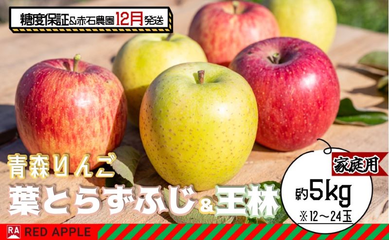 りんご 【 12月発送 】 13度糖度保証 家庭用 蜜入り 葉とらず ふじ ＆ 王林 約 5kg 【 弘前市産 青森りんご 】