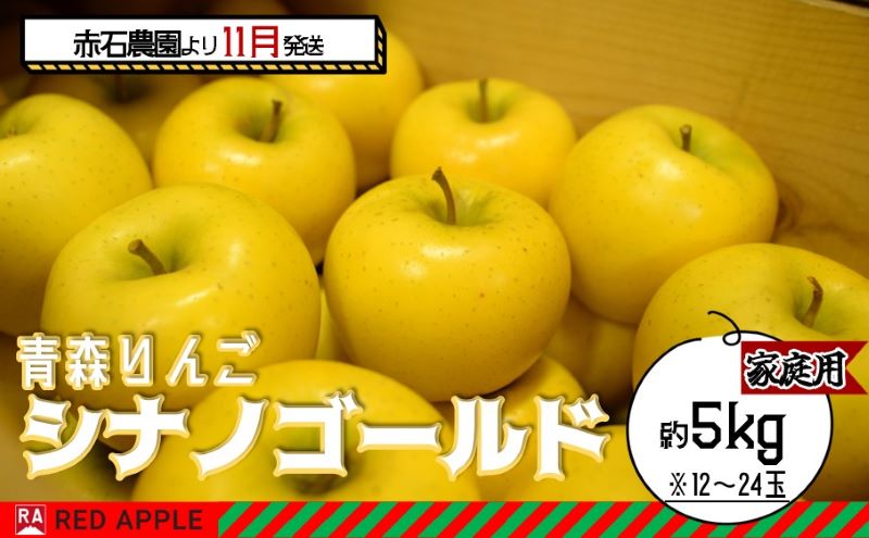 りんご 【 11月発送 】 家庭用 シナノゴールド 約 5kg 【 弘前市産 青森りんご 】