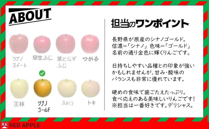 りんご 【 12月発送 】 家庭用 シナノゴールド 約 5kg 【 弘前市産 青森りんご 】 果物類 林檎 リンゴ