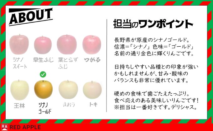 りんご 【 11月発送 】 家庭用 シナノゴールド 約 10kg 【 弘前市産 青森りんご 果物類 林檎 リンゴ 】