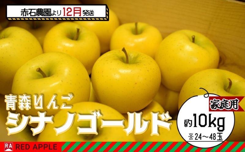 りんご 【 12月発送 】 家庭用 シナノゴールド 約 10kg 【 弘前市産 青森りんご 】 果物類 林檎 リンゴ