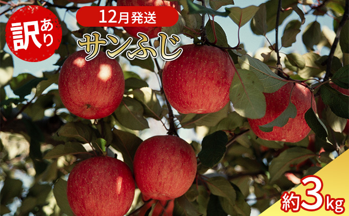 12月発送 訳あり サンふじ 約3kg 【弘前市産・青森りんご】