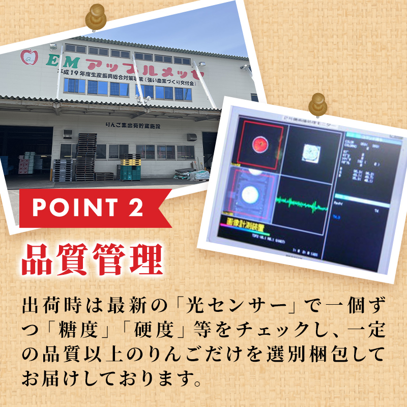 りんご 【 4月発送 】 贈答用 EM 葉取らず ふじ 約 5kg ( 有袋栽培 CA貯蔵 ) 【 弘前市産 青森りんご 】リンゴ 果物 青森 弘前 贈答