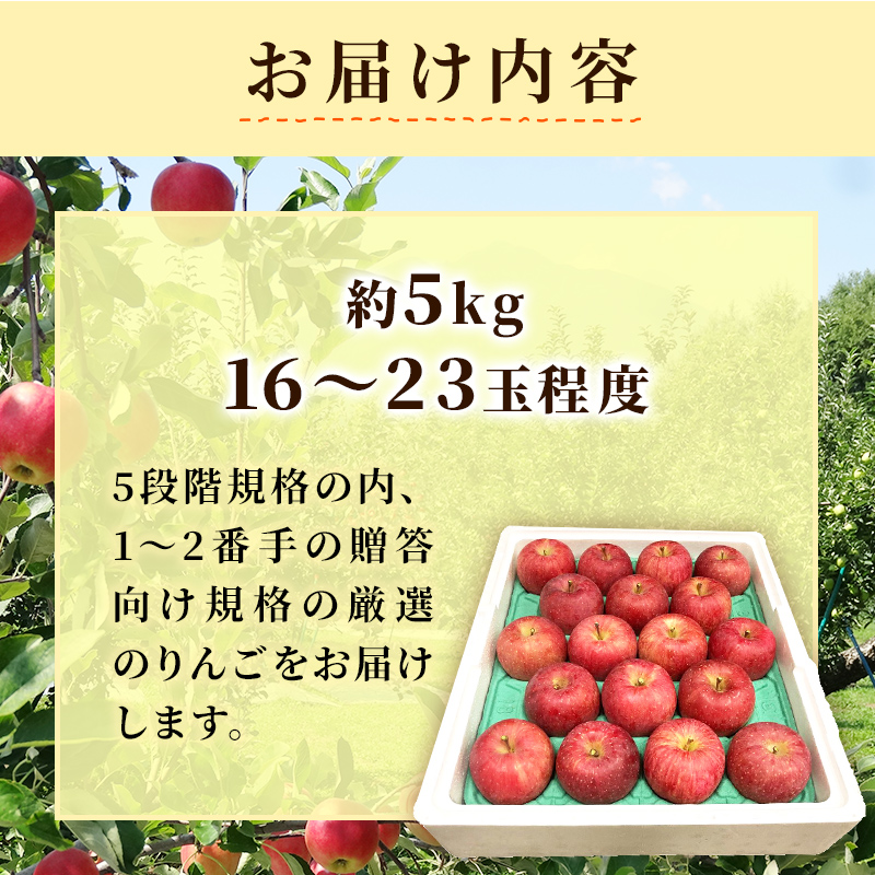 りんご 【 4月発送 】 贈答用 EM 葉取らず ふじ 約 5kg ( 有袋栽培 CA貯蔵 ) 【 弘前市産 青森りんご 】リンゴ 果物 青森 弘前 贈答