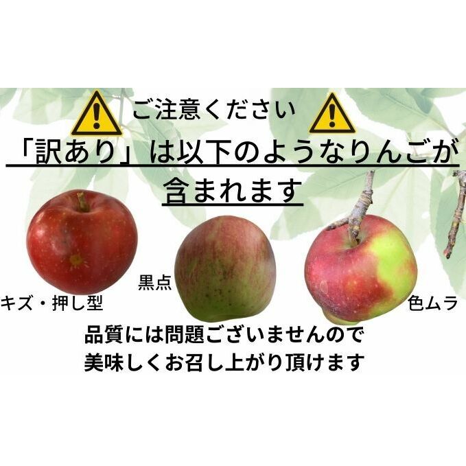 りんご 【1～2月発送】 訳あり 家庭用 百年木の香 三上農園 サンふじ 王林 ギフトセット 【 弘前市産 青森りんご  果物類 林檎 リンゴ 飲料類 果汁飲料  】