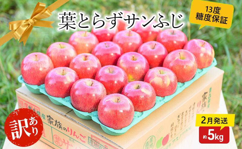 【 2月発送 】糖度13度以上 訳あり 家庭用 葉とらず サンふじ 約 5kg 【 弘前市産 青森りんご 】 果物 フルーツ 食後 デザート 青森県産 産地直送