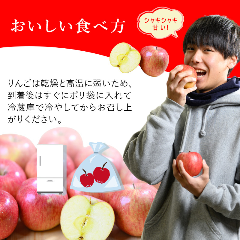 【 2月発送 】糖度13度以上 訳あり 家庭用 葉とらず サンふじ 約 5kg 【 弘前市産 青森りんご 】 果物 フルーツ 食後 デザート 青森県産 産地直送