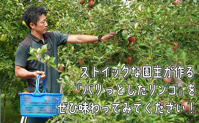 2月発送 家庭用 葉とらずサンふじ 約3kg 【弘前市産・青森りんご 果物 フルーツ 食後 デザート ほど良い酸味 甘み  】