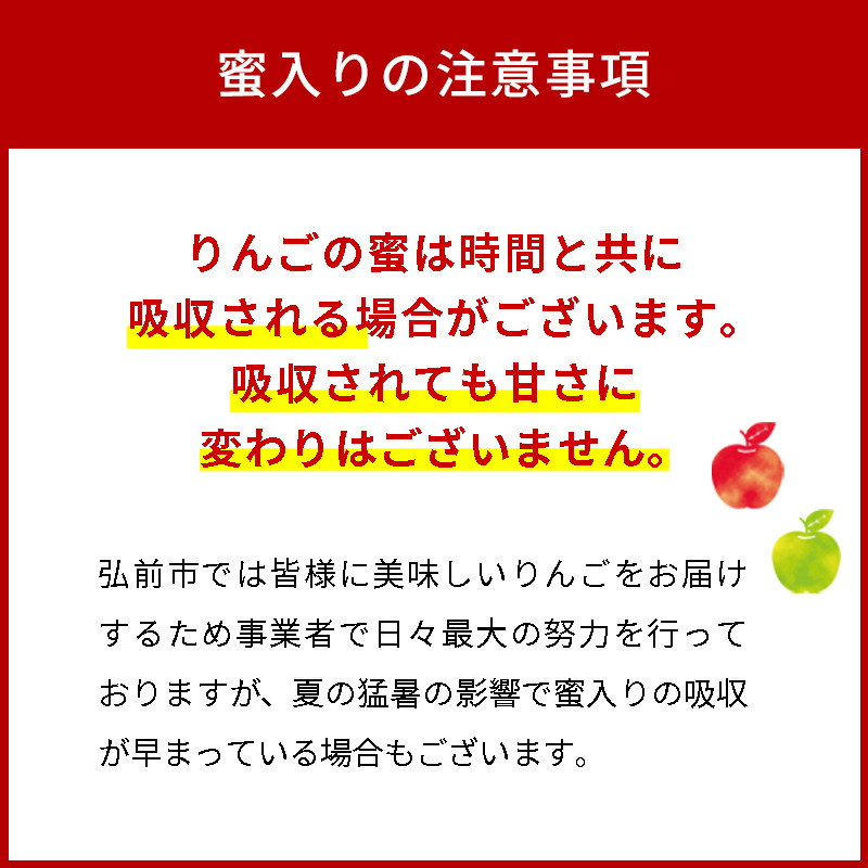 りんご 【 数量限定 】12月発送 雪完熟 自然 葉とらず 蜜入り 糖度13度以上 家庭用 サンふじ 約 5kg 20～23個【 弘前市産 青森りんご 】