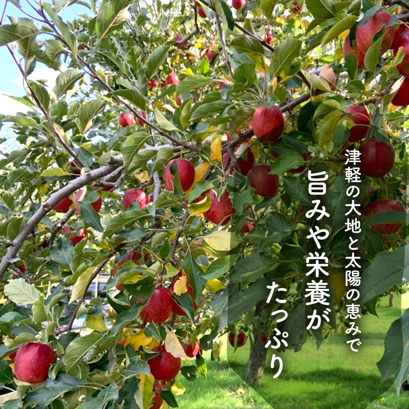 【定期便】無添加ストレート果汁100％！青森県特別栽培農産物認証農園のりんごジュース ふじ 1L×6本 6ヶ月連続お届け