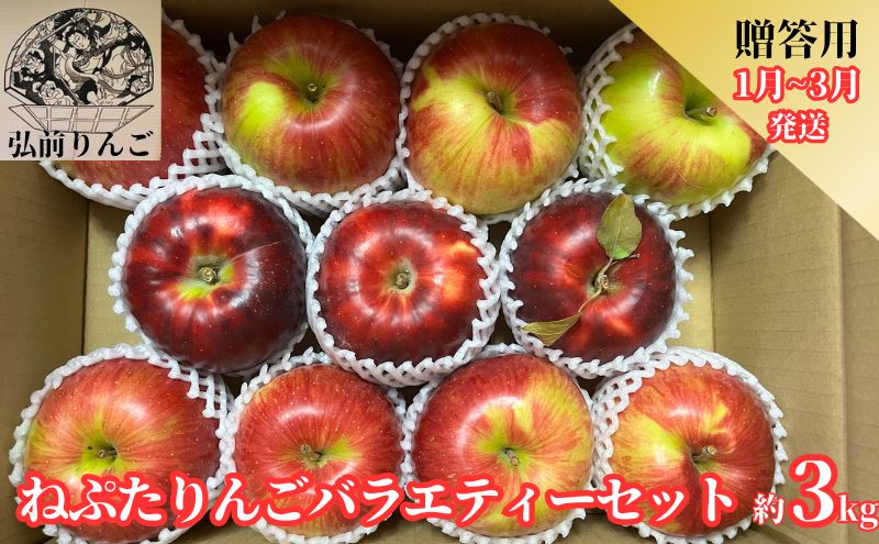 【1月～3月発送】ネプタりんごバラエティーセット贈答用約3kg【品種おまかせ】【弘前市産・青森りんご】
