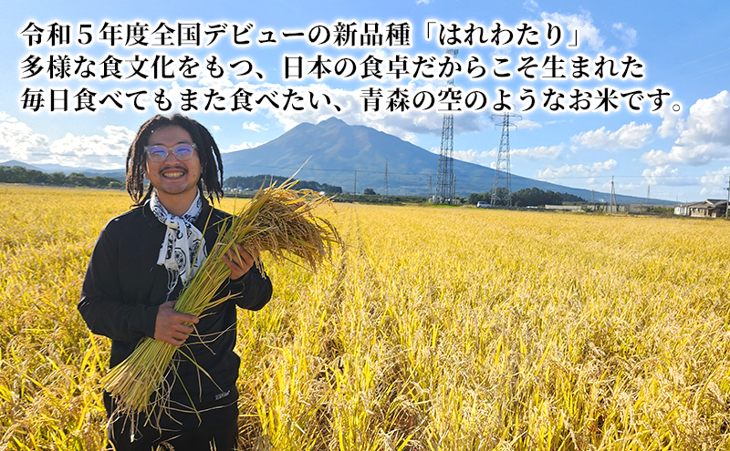 栽培期間中農薬化学肥料不使用 はれわたり 玄米 5kg
