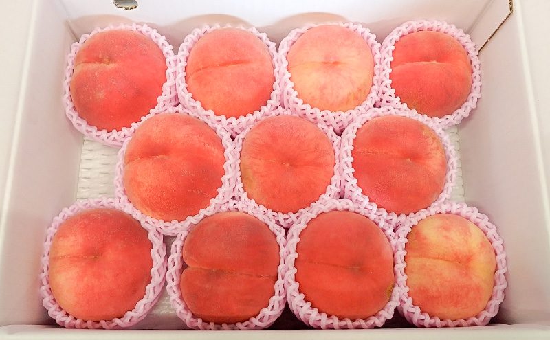 【レア品種 さくら白桃】家庭用 約3kg 8～14玉程度 　ASIAGAP認証農場 津軽農園 採れたて 農家直送