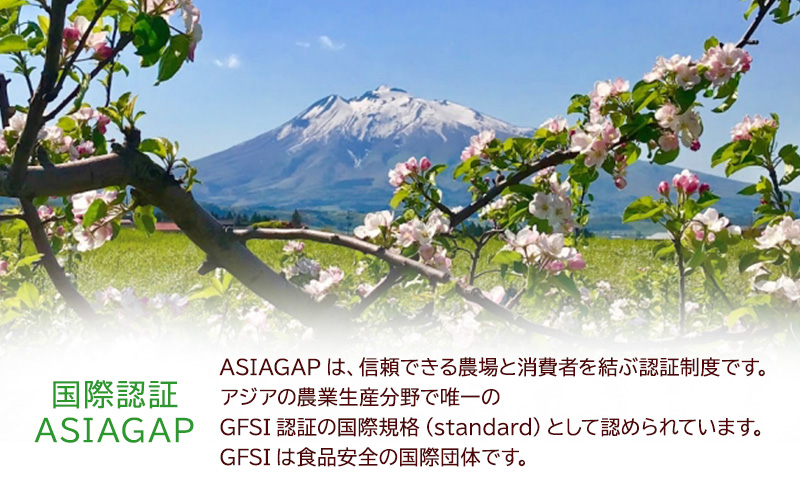 12月発送【糖度13度以上 サンふじ】家庭用 約10kg 26～40玉程度 ASIAGAP認証農場 津軽農園【弘前市産・青森りんご】 