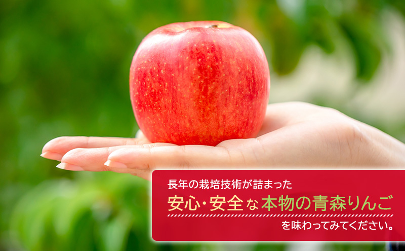 12月発送【糖度13度以上 サンふじ】家庭用 約10kg 26～40玉程度 ASIAGAP認証農場 津軽農園【弘前市産・青森りんご】 