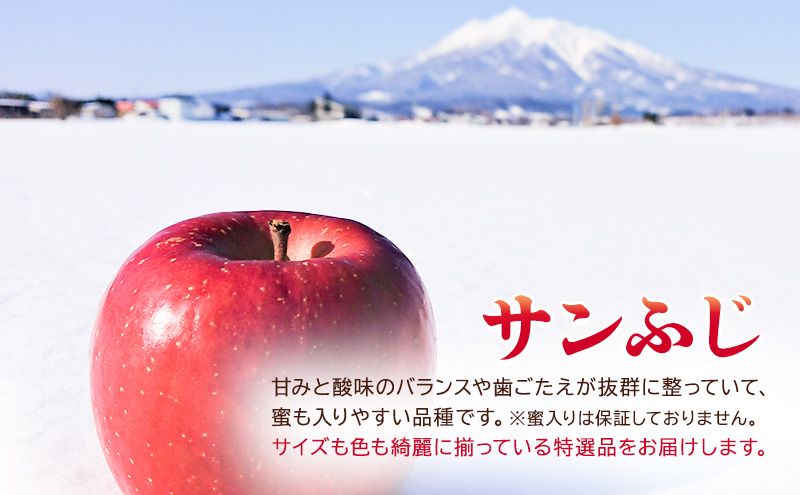 12月発送【糖度13度以上 サンふじ】特選品 約3kg 8～12玉程度 ASIAGAP認証農場 津軽農園【弘前市産・青森りんご】 