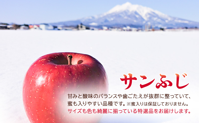 3月発送【糖度13度以上 サンふじ】特選品 約3kg 8～12玉程度 ASIAGAP認証農場 津軽農園【弘前市産・青森りんご】 