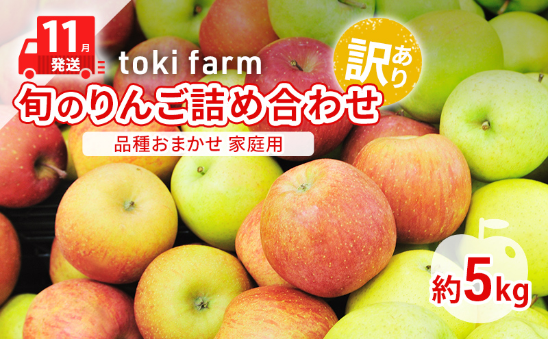 【11月発送】toki farm 旬のりんご詰め合わせ 家庭用 約5kg 品種おまかせ 訳あり【弘前市産・青森りんご】