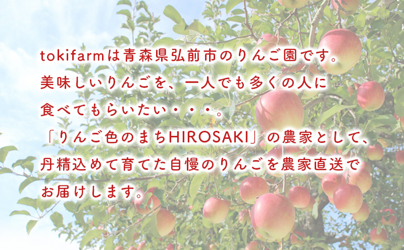 【11月発送】toki farm 旬のりんご詰め合わせ 家庭用 約5kg 品種おまかせ 訳あり【弘前市産・青森りんご】