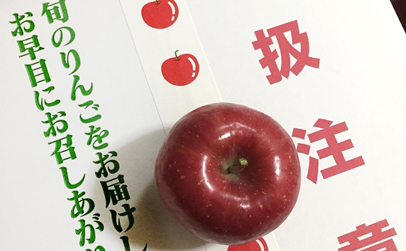 【12月発送】toki farm 家庭用 サンふじ 約3kg 訳あり【弘前市産・青森りんご】