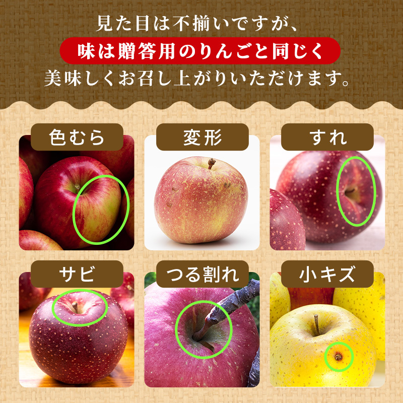 【1月発送】toki farm 家庭用 サンふじ 約3kg 訳あり【弘前市産・青森りんご】