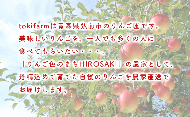 【2月発送】toki farm 家庭用 サンふじ 約3kg 訳あり【弘前市産・青森りんご】