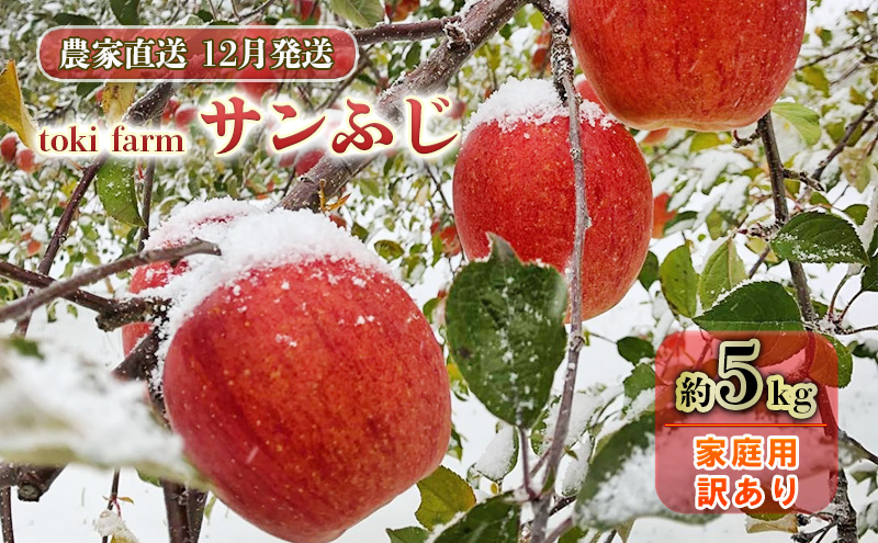 【12月発送】toki farm 家庭用 サンふじ 約5kg 訳あり【弘前市産・青森りんご】