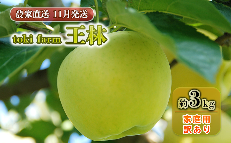 【11月発送】toki farm 家庭用 王林 約3kg 訳あり【弘前市産・青森りんご】
