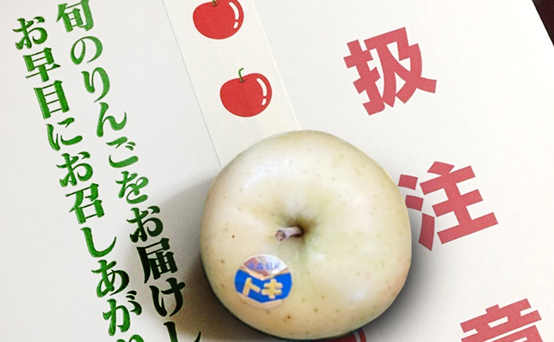 【9月～10月 クール便発送】toki farm 家庭用 トキ 約3kg 訳あり【弘前市産・青森りんご】