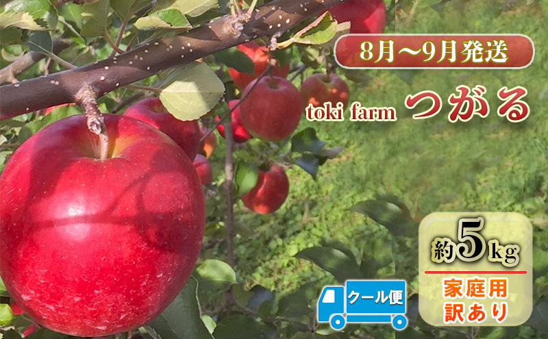 【8月～9月クール便発送】toki farm 家庭用 つがる 約5kg 訳あり【弘前市産・青森りんご】