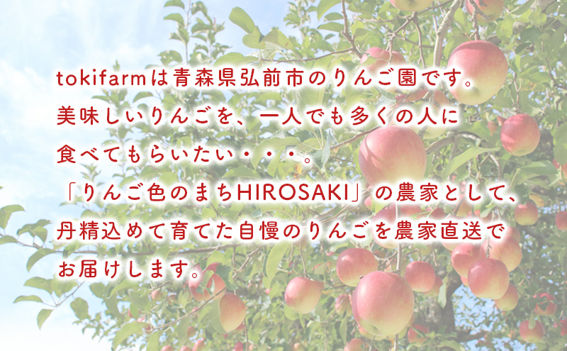 【8月～9月クール便発送】toki farm 家庭用 つがる 約5kg 訳あり【弘前市産・青森りんご 果物類 林檎 リンゴ  】