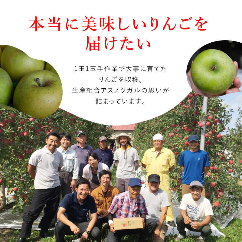 【4月クール便発送】(13度糖度保証) 訳あり CA貯蔵 王林 約5kg【弘前市産・青森りんご】