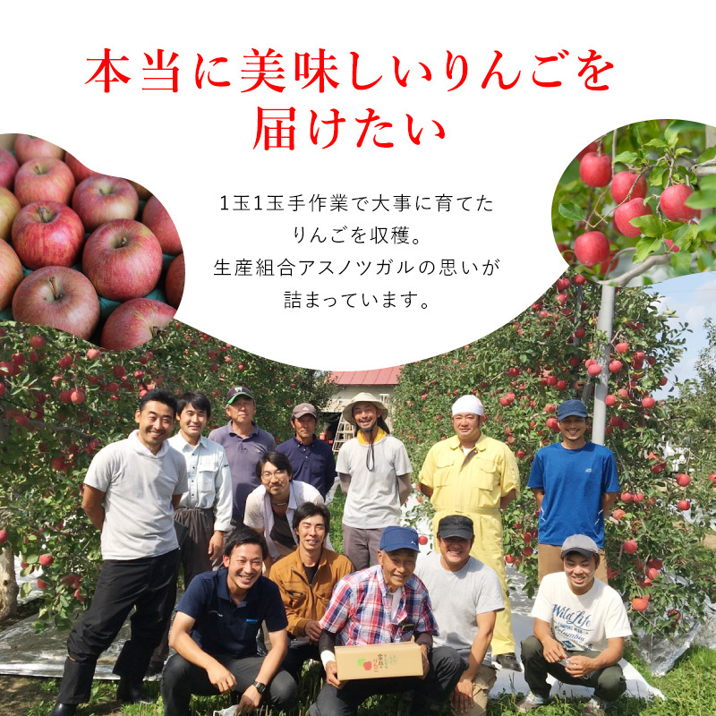 【4月クール便発送】(13度糖度保証) 訳あり CA貯蔵 サンふじ 約5kg【弘前市産・青森りんご】