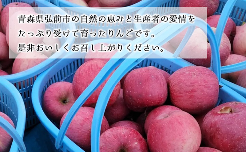 【1月発送】訳あり 家庭用 ちとせ村葉とらずサンふじ ＆ 王林 詰め合わせ 約5kg【弘前市産・青森りんご】