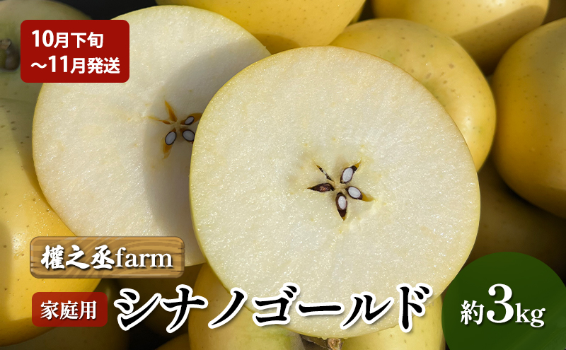 【10月下旬～11月発送】權之丞farm シナノゴールド 家庭用 約3kg【弘前市産・青森りんご】