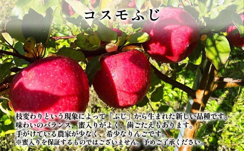 【1月発送】權之丞farm 葉とらずりんご コスモふじ 家庭用 約3kg【弘前市産・青森りんご】
