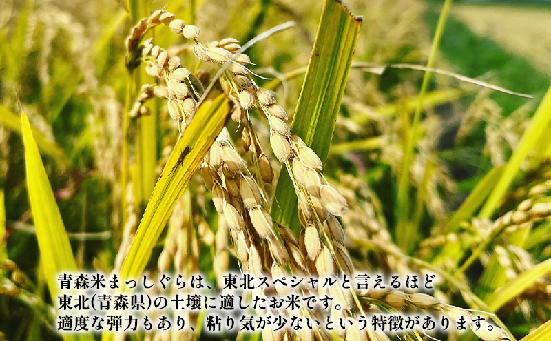 權之丞farm 令和6年産 青森県産米 まっしぐら 白米 10kg