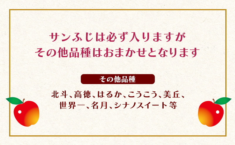 12月発送 家庭用 りんご詰め合わせ 約5kg 2種以上 糖度13度以上  岩木山観光りんご園 弘前市産 青森りんご サンふじ