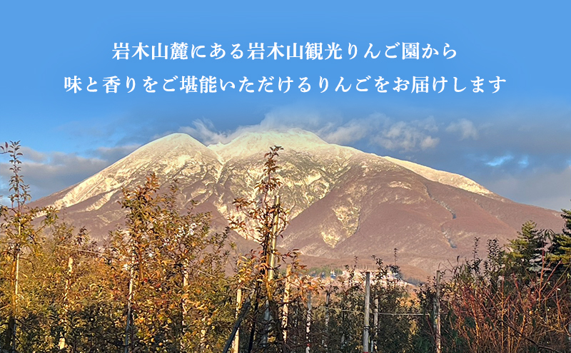 12月発送 家庭用 りんご詰め合わせ 約5kg 2種以上 糖度13度以上  岩木山観光りんご園 弘前市産 青森りんご サンふじ