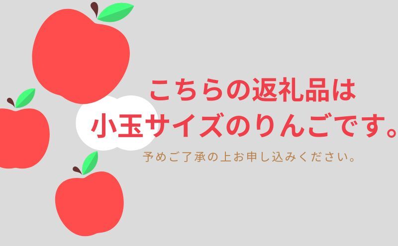 【9月クール便発送】（糖度12度以上）家庭用小玉きおう約3kg【弘前市産 青森りんご】