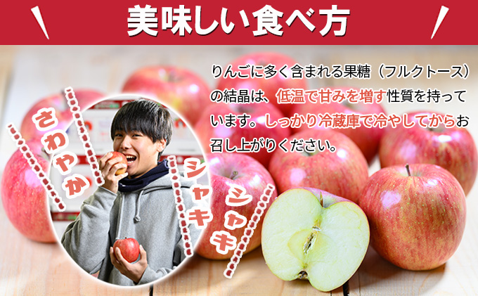【9月クール便発送】（糖度12度以上）家庭用小玉きおう約3kg【弘前市産 青森りんご】