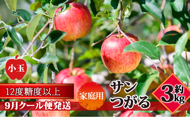 【9月クール便発送】（糖度12度以上）家庭用小玉サンつがる約3kg【弘前市産 青森りんご】