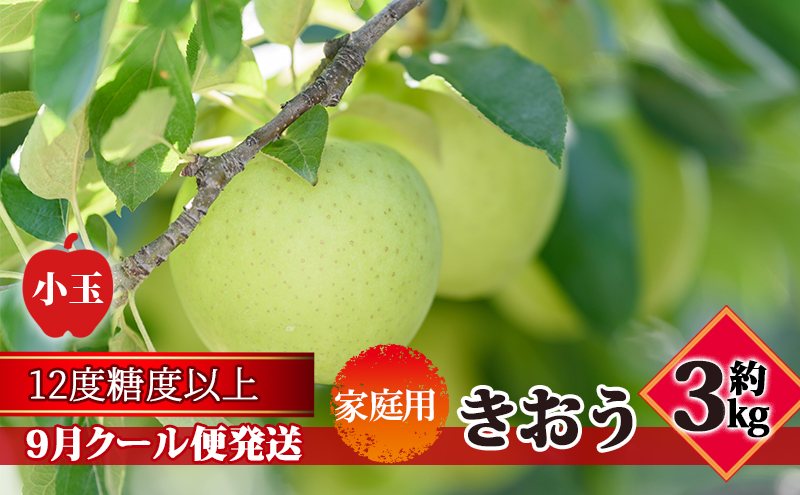 【9月クール便発送】（糖度12度以上）家庭用小玉きおう約3kg【弘前市産 青森りんご】